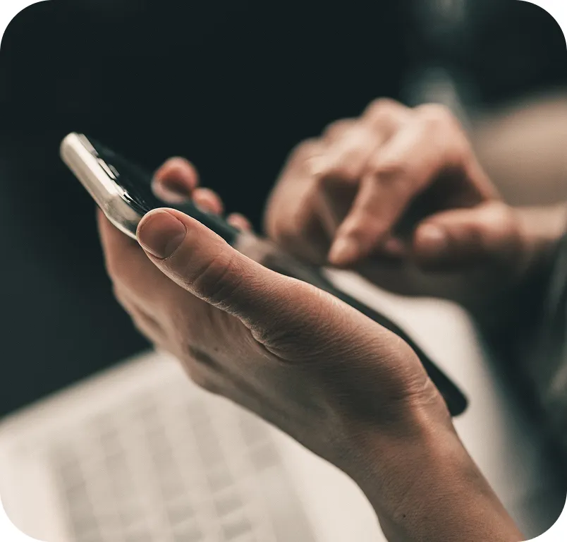 Puppy in delivery vehicle